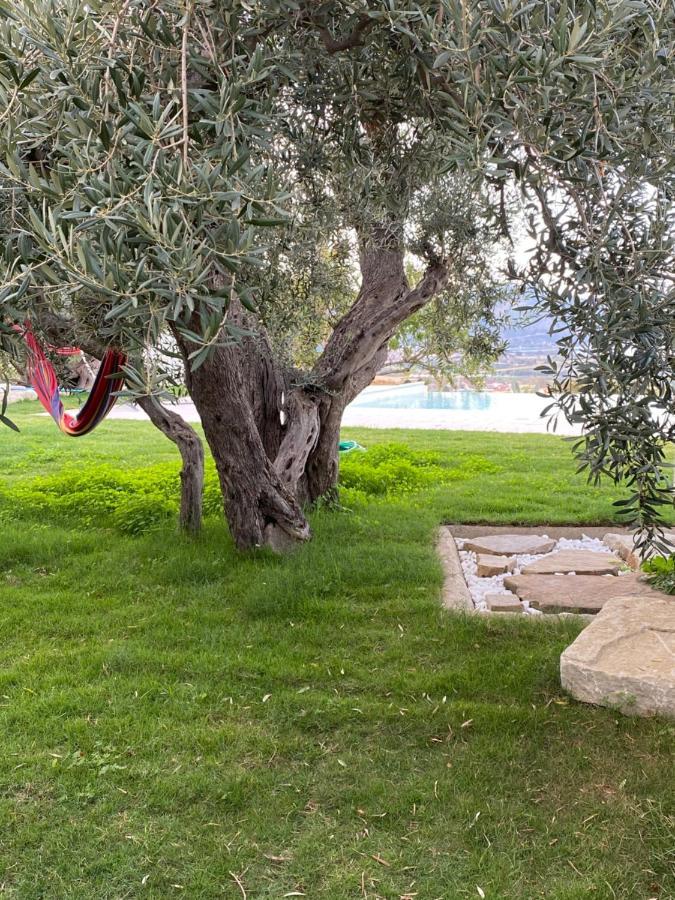 Casa Delle Sirene Nto Principe Hotell Falcone Exteriör bild